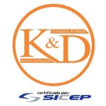 KyD Consultores